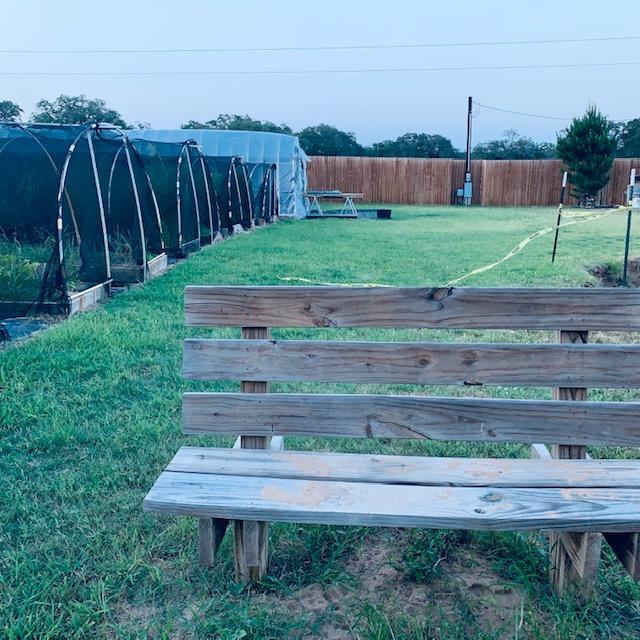 Bench across from the feed shed. You can see the back of the hoop houses & greenhouse as well as our new pond site.