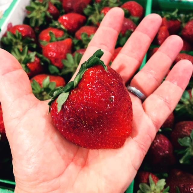 One of the giant berries in my hand so you can get an idea.