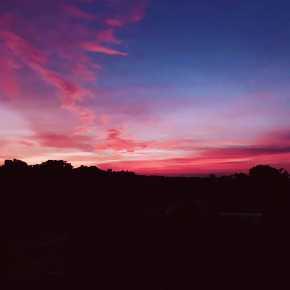 I let the girls out this morning and saw this incredible sunrise on the mini farm.