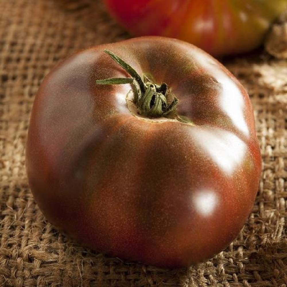 This is the Black Brandywine heirloom tomato. It is lovely.