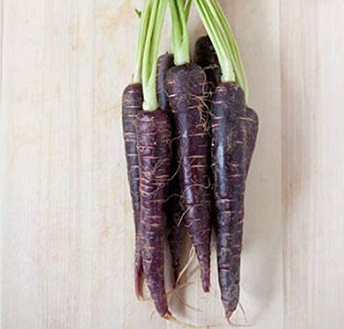 Our favorite root vegetables are the Black Nebula carrots. They are sweet and so crunchy!