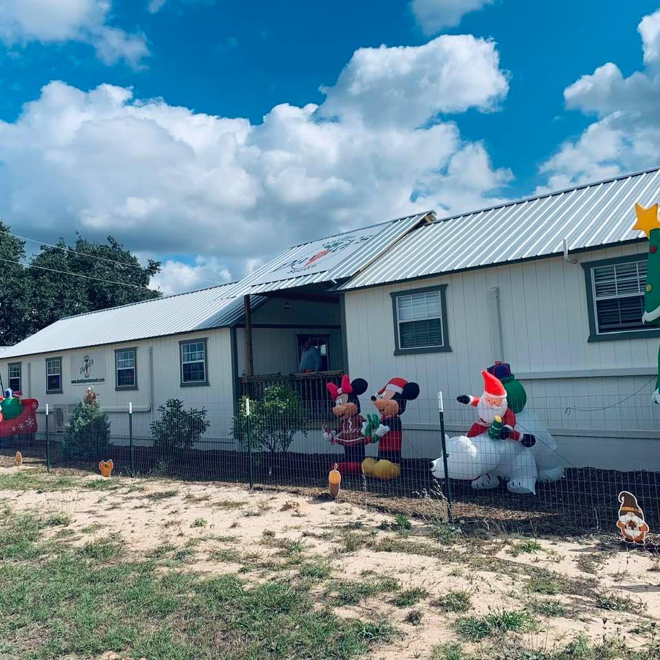 Minnie and Mickey are here and Santa is riding a polar bear!