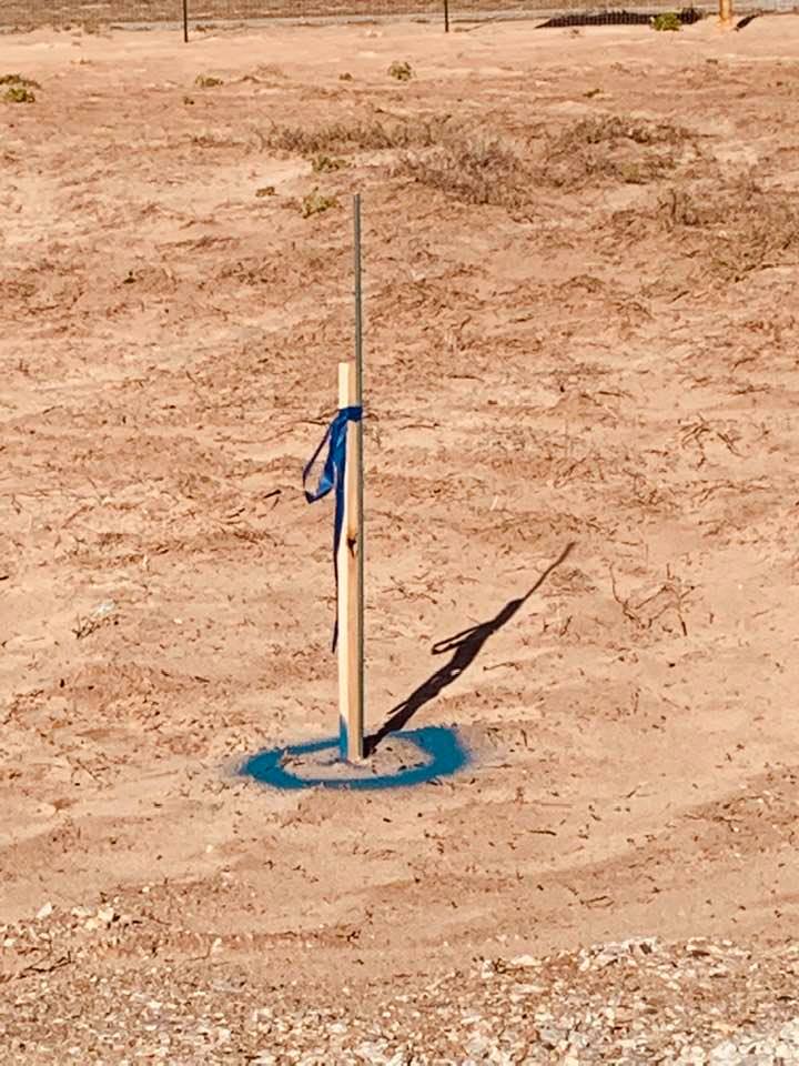 A blue circle marks the spot for the water well to be dug!