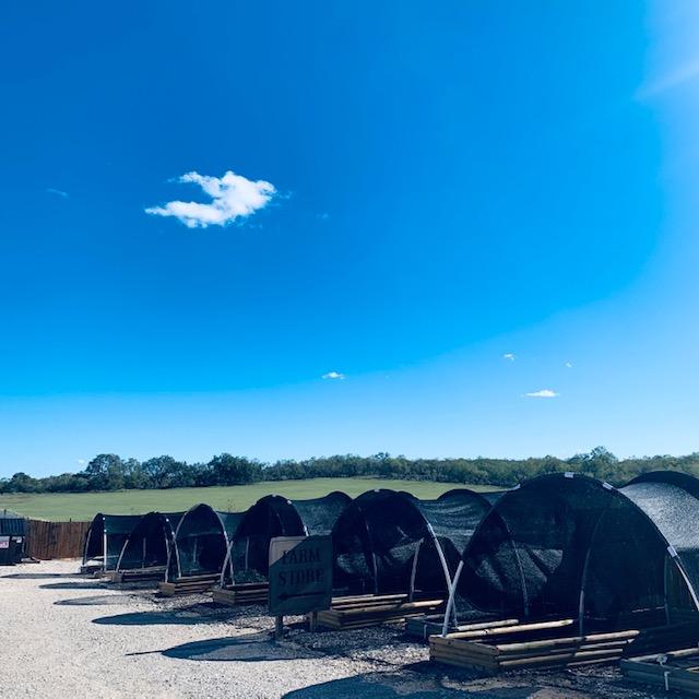 From the Admin Building deck, a look at our hoop houses along the driveway and the beautiful blue sky today.