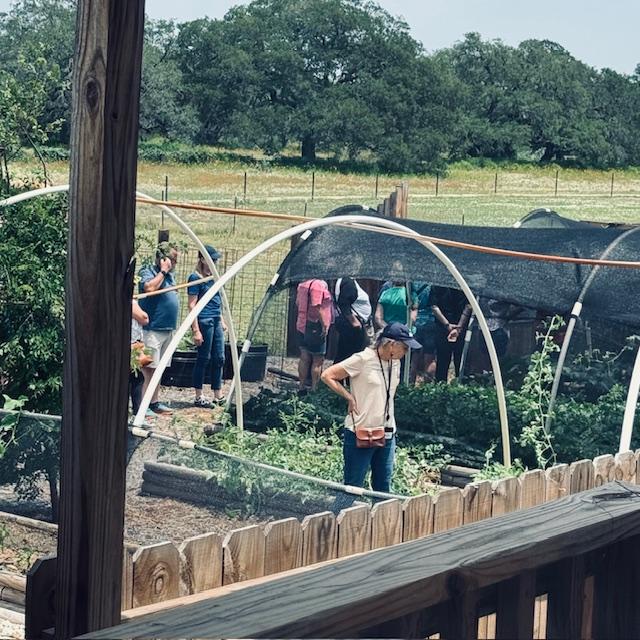 The gardeners are inspecting some of our raised beds up by the carport.