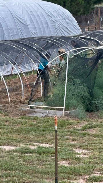 Thank you to our church's Trail Life USA troop for sending 2 boys to help David with the fall garden. David and Matt are very happy!