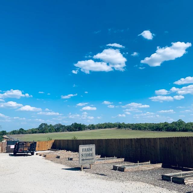 The sky is bright blue and you can see Nacho's trailer in the driveway.