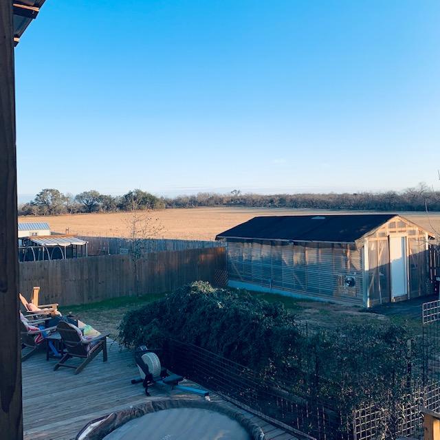 About an hour before sunset, the sun decided to really light the backyard up.