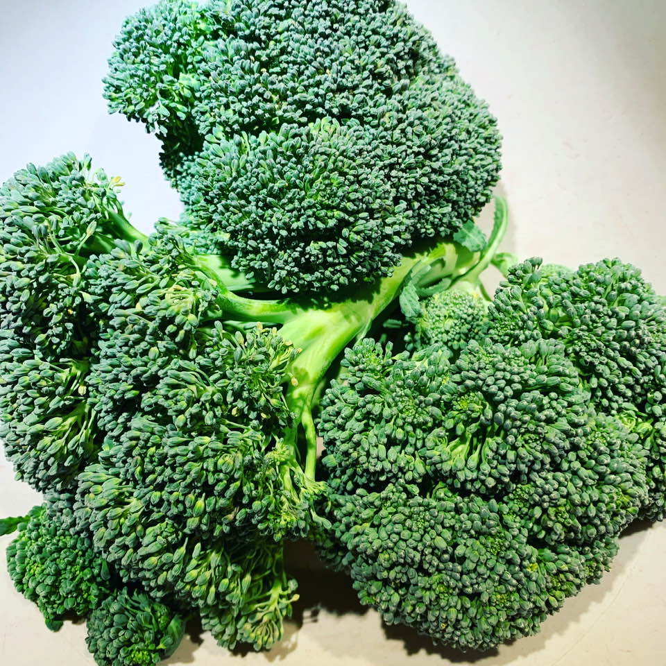 Here is our small, final broccoli harvest for the season. Then we pulled up the plants. The chickens enjoyed the leaves on the plants. Here is our small, final broccoli harvest for the season. Then we pulled up the plants. The chickens enjoyed the leaves on the plants.