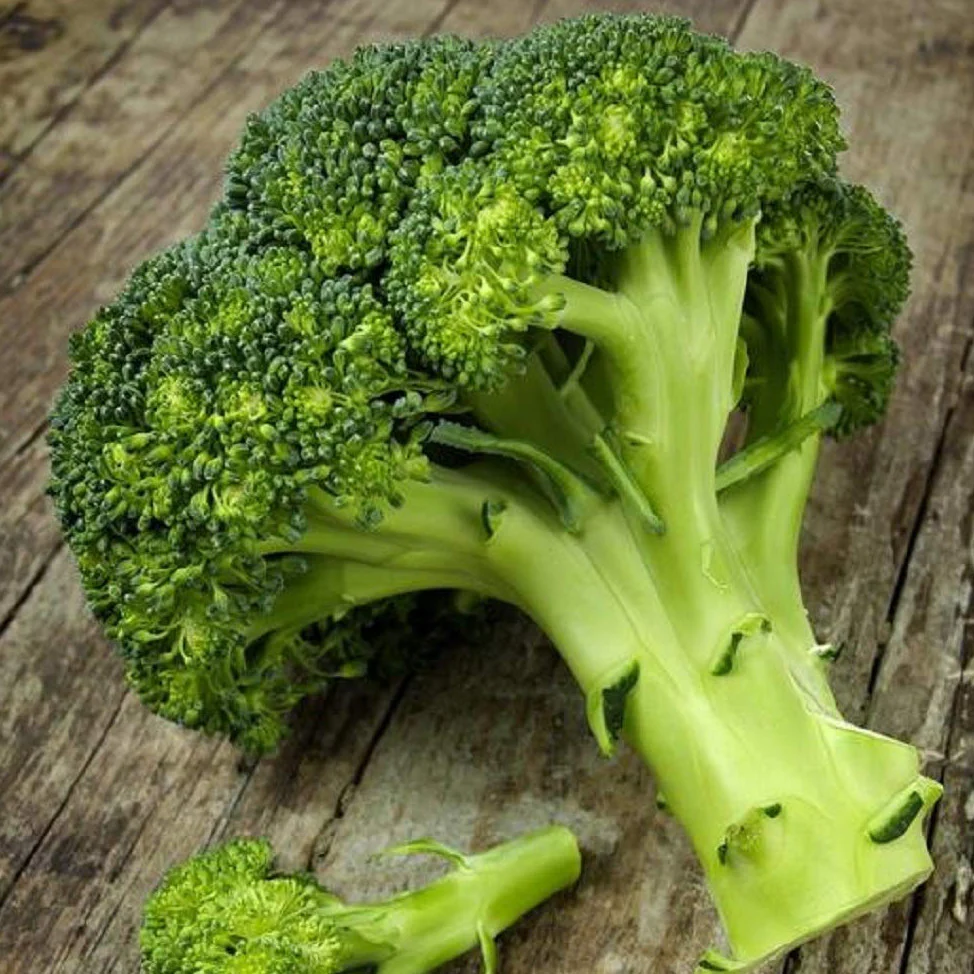 Right now, Waltham broccoli is a favorite among our seed customers.