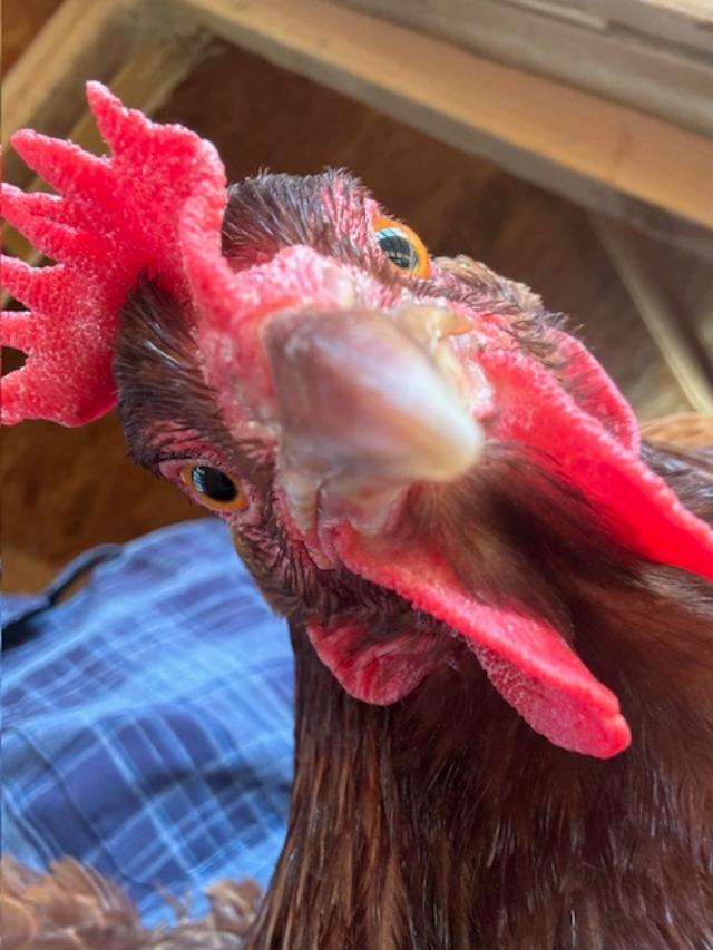 Matt took this photo today for Tax Day!