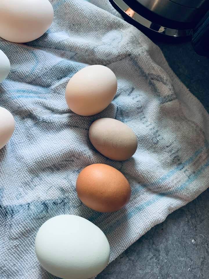 The 2 eggs next to the blue one are new from our new chicks. I have not seen either color before and look how small and cute they are.
