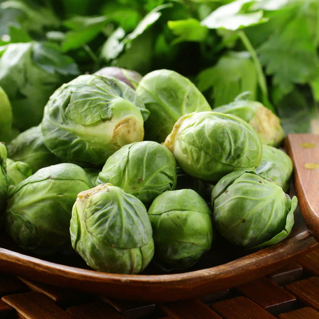 Grow Brussels sprouts like Catskill. We have the seeds.