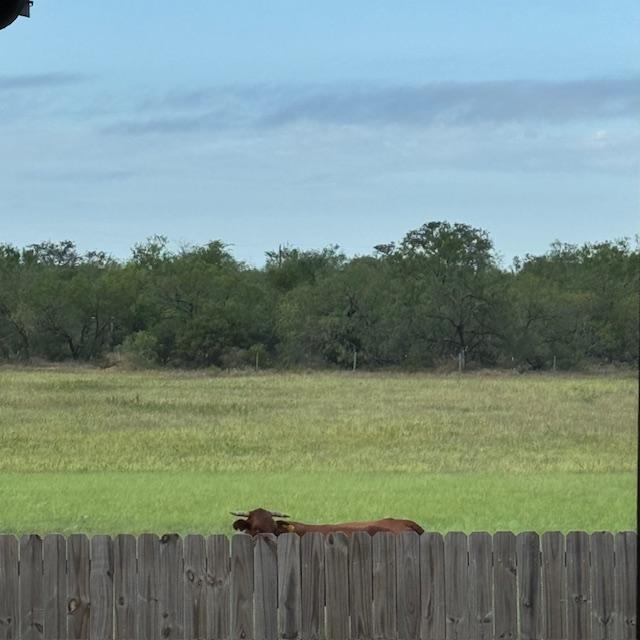 bullbyhouse1 bullbyhouse1