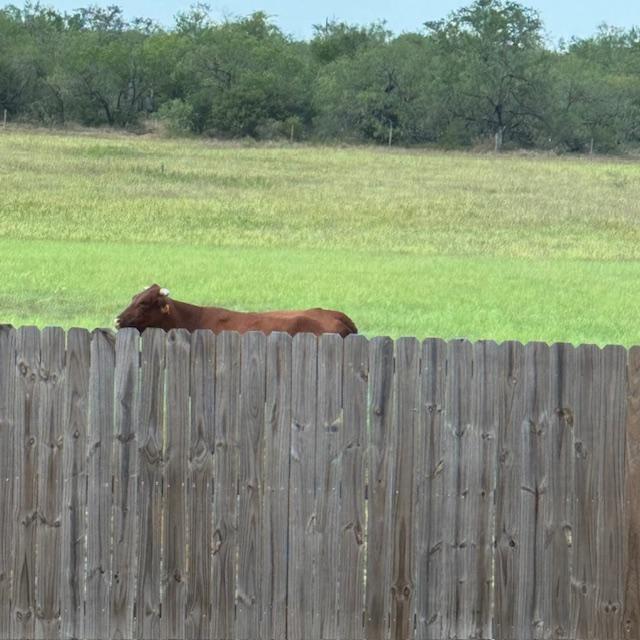 bullbyhouse2 bullbyhouse2
