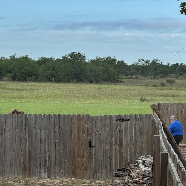 David watches as the cow runs back up the hill.