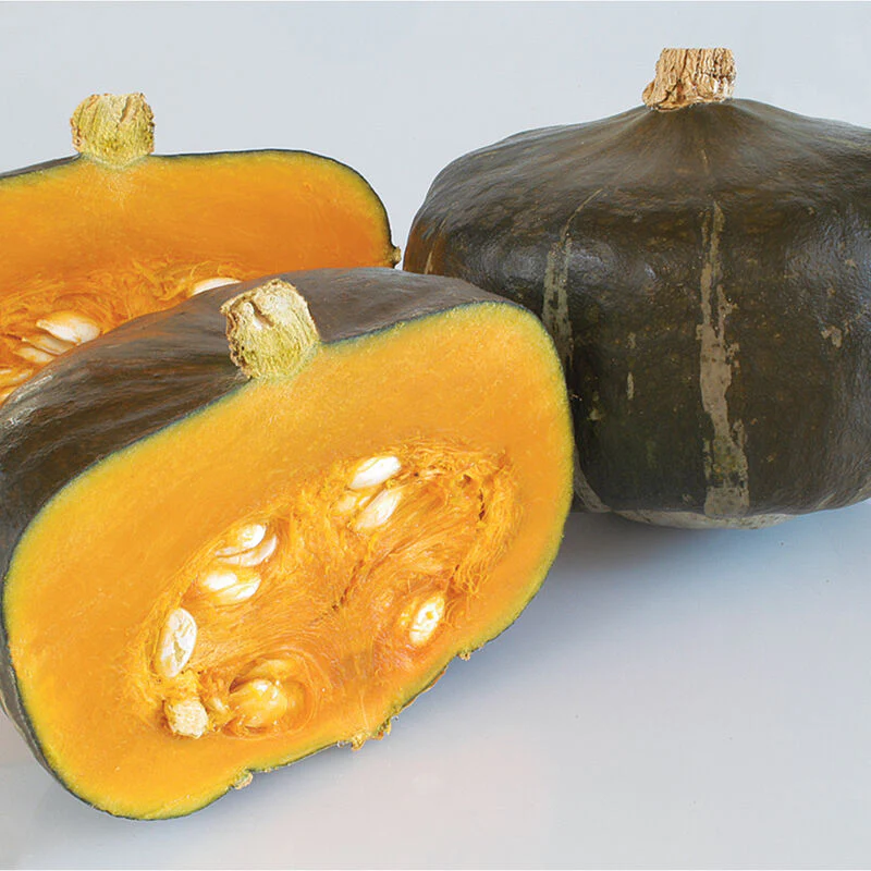 This is our Buttercup Squash. Doesn't it look good? It is called winter squash because the rind is thicker than summer squash so you can store it to eat during winter.