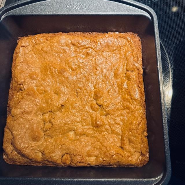 I made two batches of butterscotch bars because I knew that David and Matt would eat some tonight. They came out chewy and very tasty. I added macadamia nuts to them.
