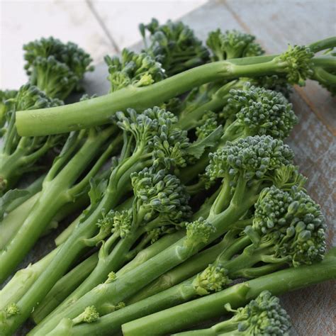 Calabrese Broccoli is ninth on our Top Ten Easiest Vegetables To Grow From Seed List.