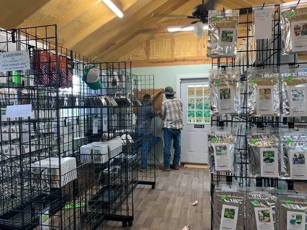 Matt & Dawson took out the wall A/C units and put up cardboard last week.