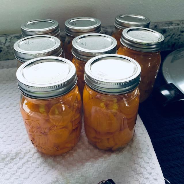 Some of the pint jars the carrots were canned in today. I think they all should have been planting cherry tomato seeds in warmer weather!