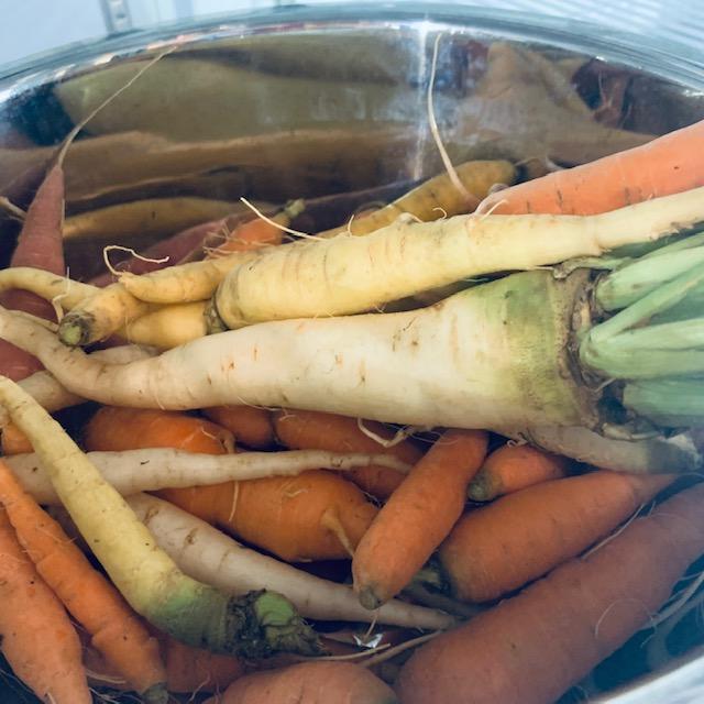 Carrots come in a rainbow of colors.
