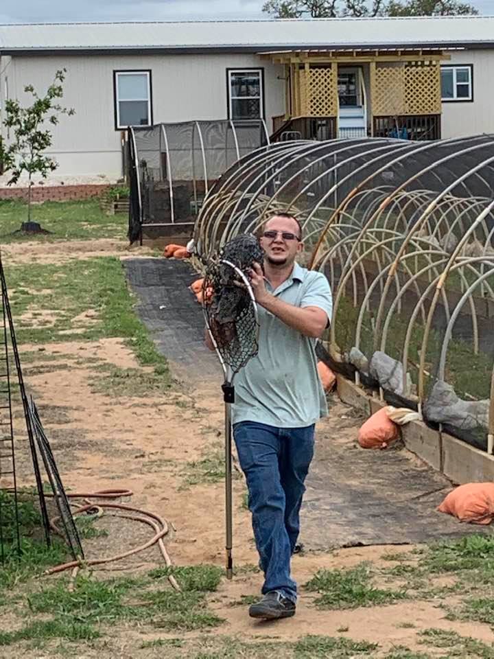 Matt carried Hershel back to his coop to be with Mona.