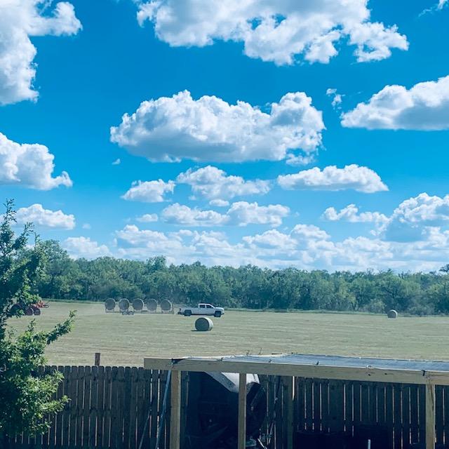 After it is rolled, the bales are taken away.