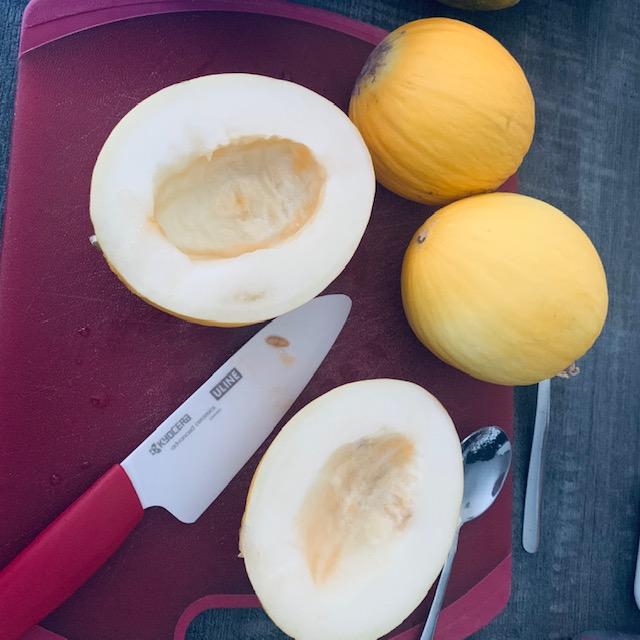 I cut open some tasty casaba melons this afternoon from the garden. I am loving the new porcelain knives that David got me from U-Line. They slice fruit like butter!