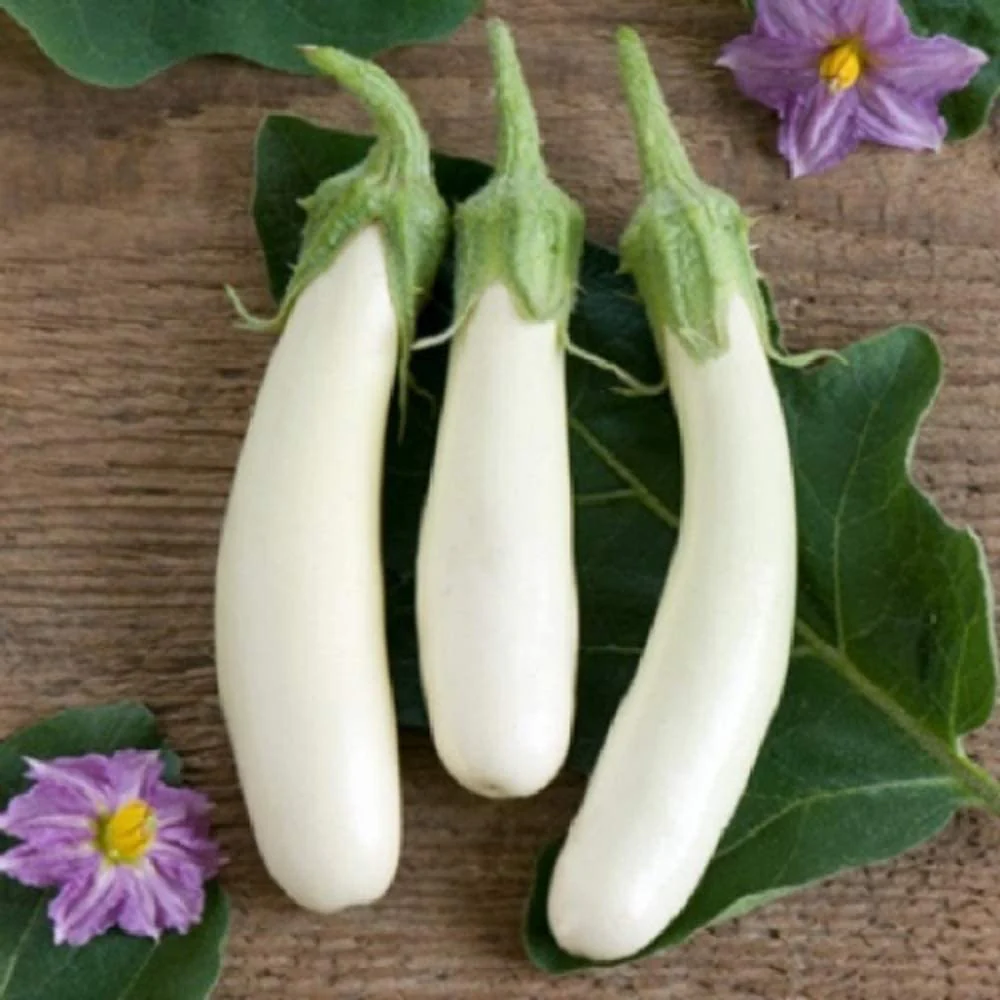 Casper eggplant is another of our heritage vegetable seeds that you can order.