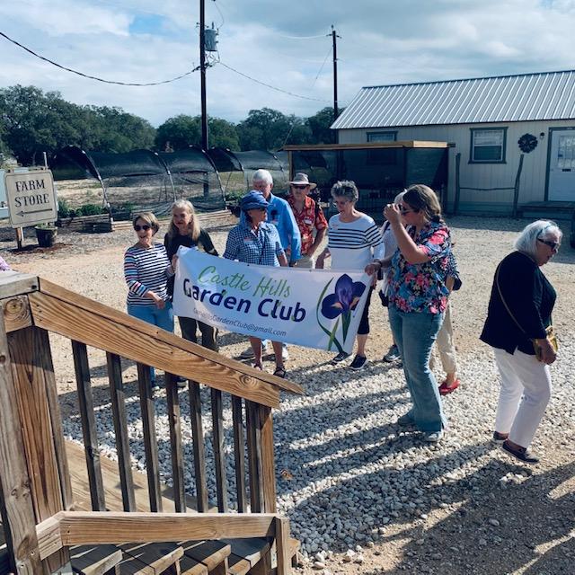 This morning, The Castle Hills Garden Club came to visit the farm. They arrived in style, renting a very nice bus, toured, ate lunch, and shopped. They were gone before noon!