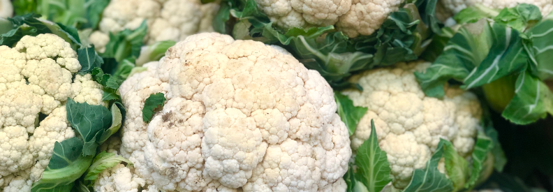 Cauliflower grows beautifully here in South Central Texas in the fall. Time to plan your fall garden now.