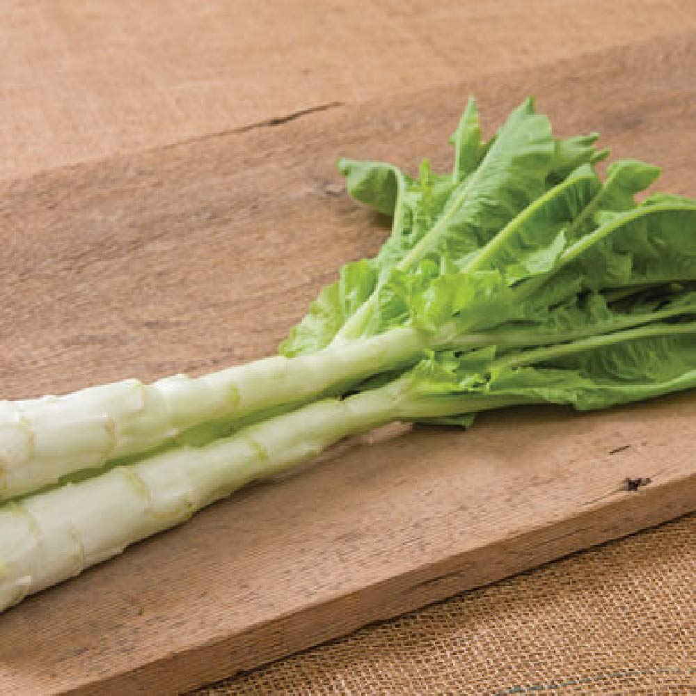 Grow celtuce and enjoy a new vegetable from your garden.