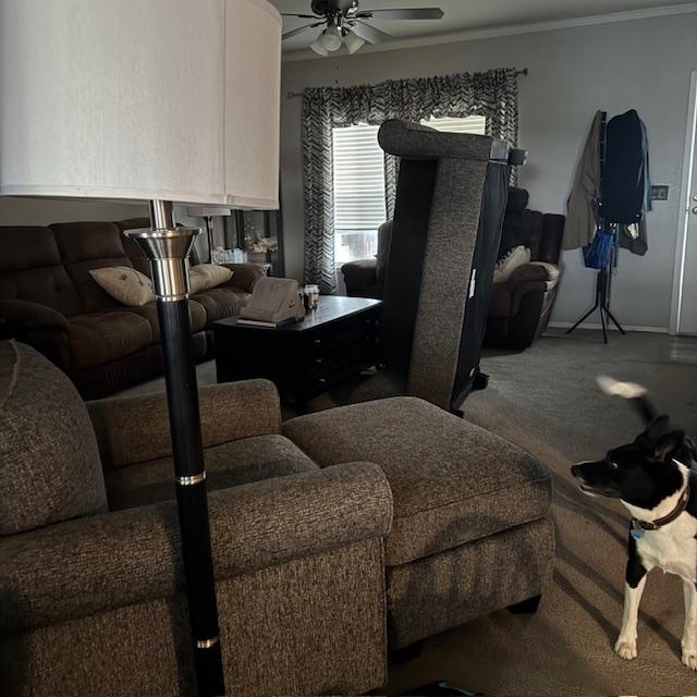 Sue Ellen does not care for the new art in the living room. Obviously the standing couch and the chair and stool in the forefront are what is for sale.