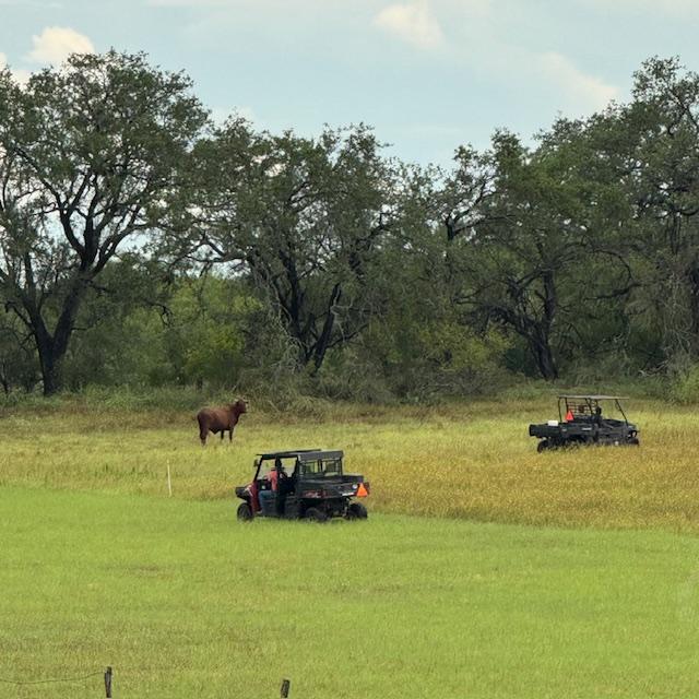 chasecow2 chasecow2