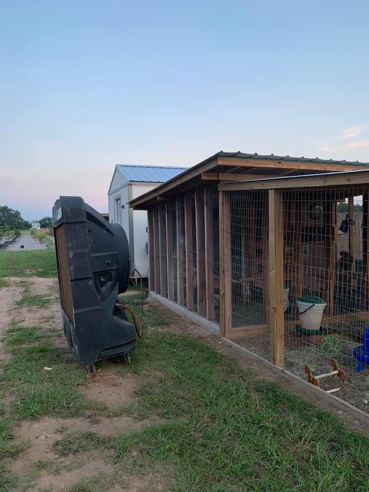 I was happy to see the monster A/C unit blowing cool air on the chickens this afternoon. It has been miserable out there. I was happy to see the monster A/C unit blowing cool air on the chickens this afternoon. It has been miserable out there.