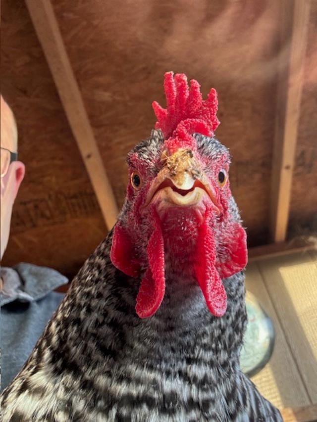 It almost looks like she is talking to us!