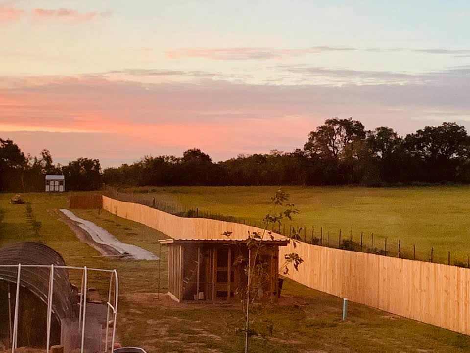 The chicken coop is in the center of the photo.