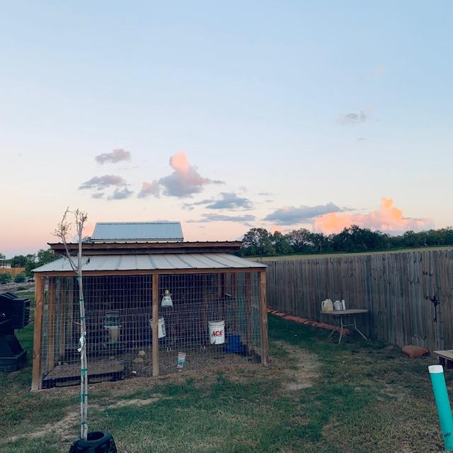 The chicken house in the evening. The pink clouds indicate it is almost sunset.