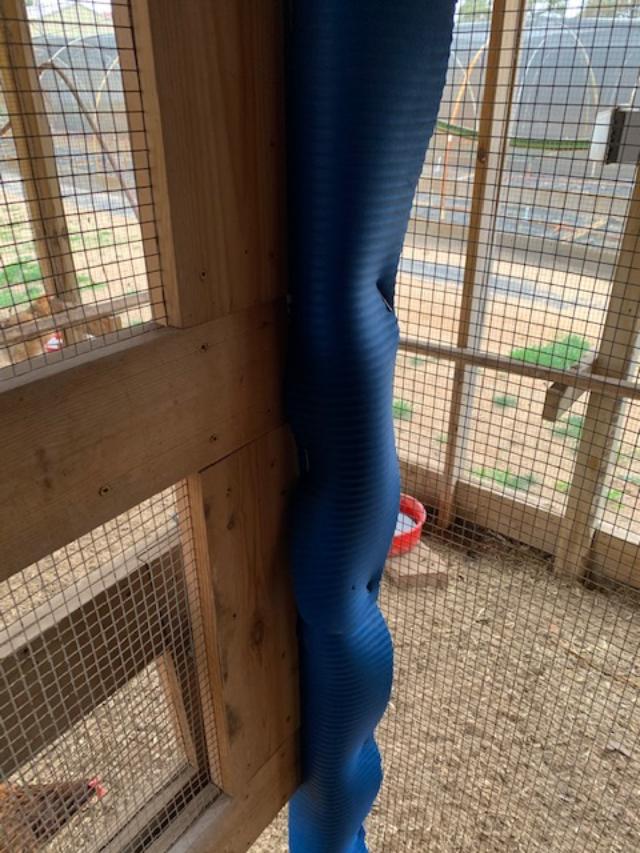 Matt got some foam rubber padding from the exercise department of Walmart and nailed it up to the beam in the chicken coop. I hope this helps.