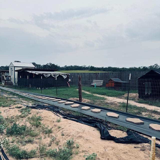 Front view of the new chicken run.