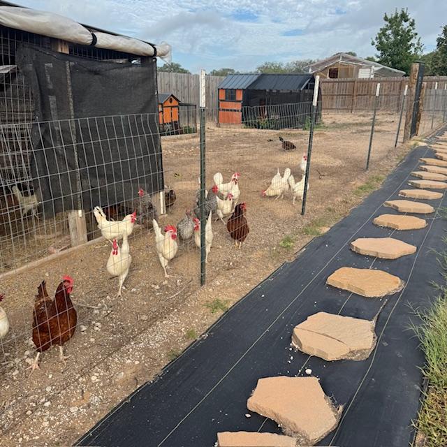 The girls are all fine.