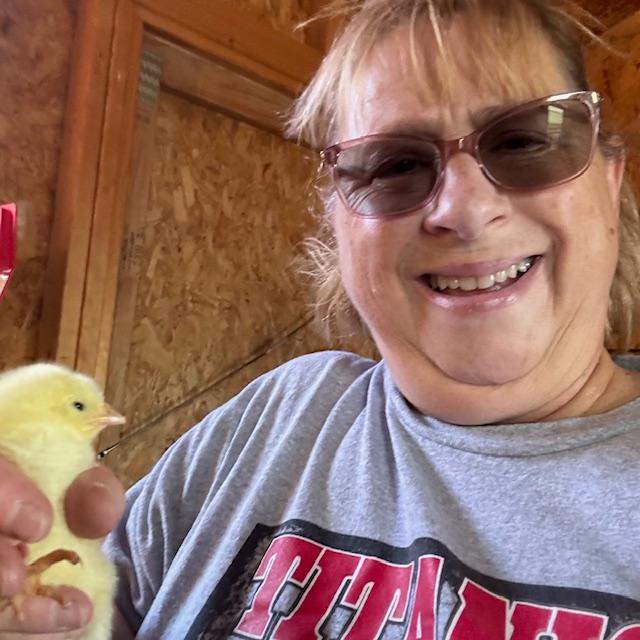 I unloaded each chick, one by one, into the brooder. They all appeared healthy and, hopefully, in 8 weeks, they will make good chickens to go to freezer camp.