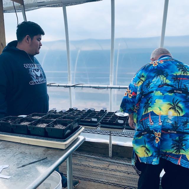 This is Christian 2 who helped David today. David is also in this photo in the greenhouse.