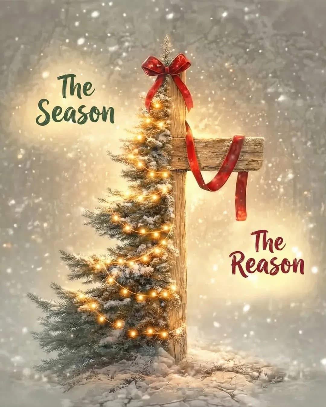 christmasseasonreason