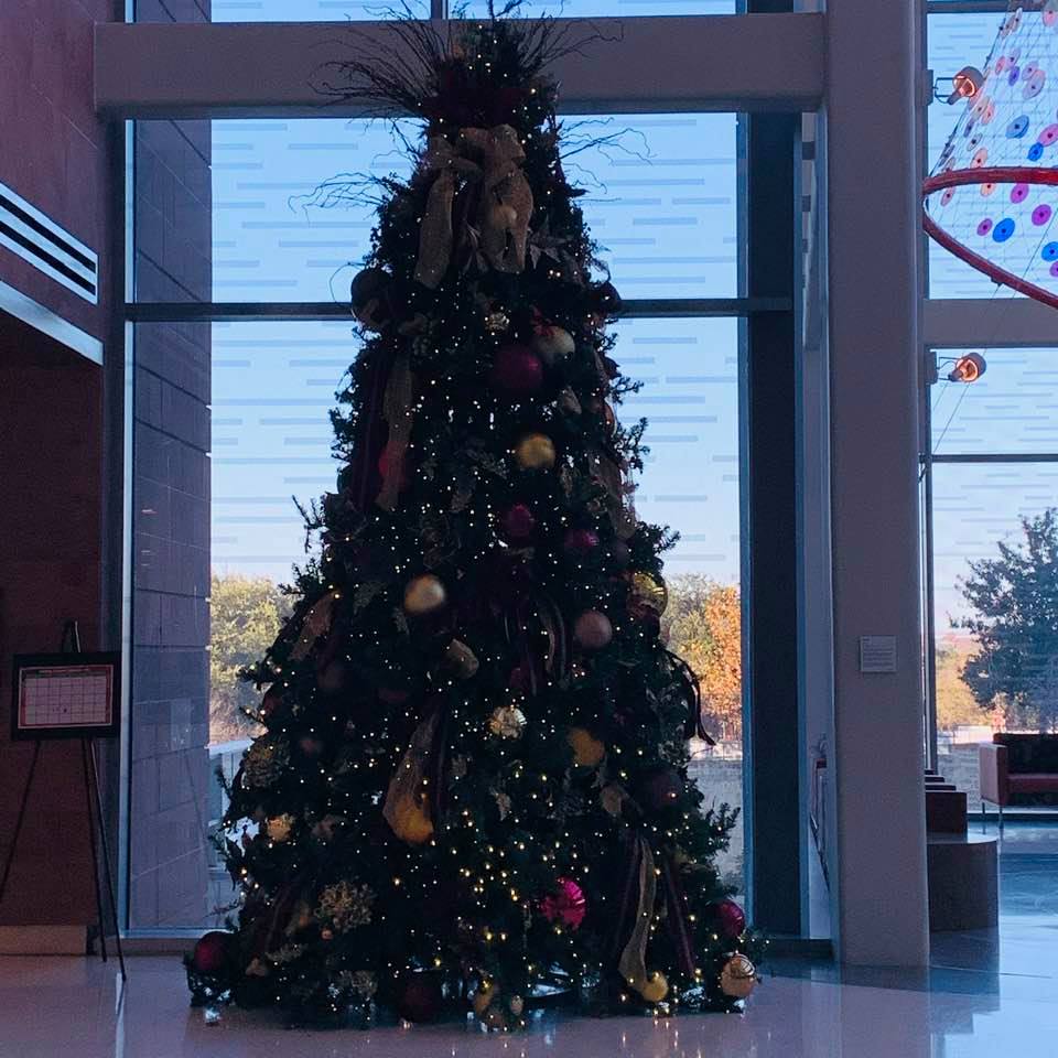 Speaking of Christmas ideas, if your home has a high ceiling anywhere, how about a giant tree that you need a ladder to put the topper on? This tree is in the hospital where my son is now.