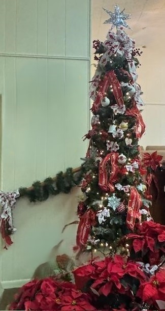 Here is the Christmas tree in front of the sanctuary.
