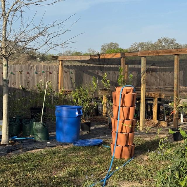 My citrus trees are now out of the greenhouse. The blue trash can is full of garden soil, not trash. All of the plants are out on shelves not seen in photo. My citrus trees are now out of the greenhouse. The blue trash can is full of garden soil, not trash. All of the plants are out on shelves not seen in photo.