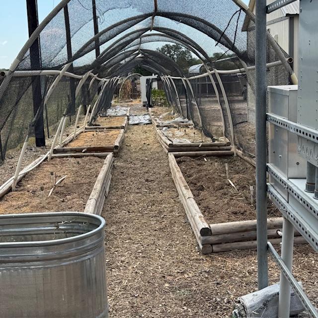 She cleaned the weeds up very nicely.