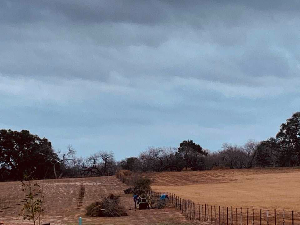 Phil and Matt V. are cleaning the fenceline between our farm and the meadow next door.